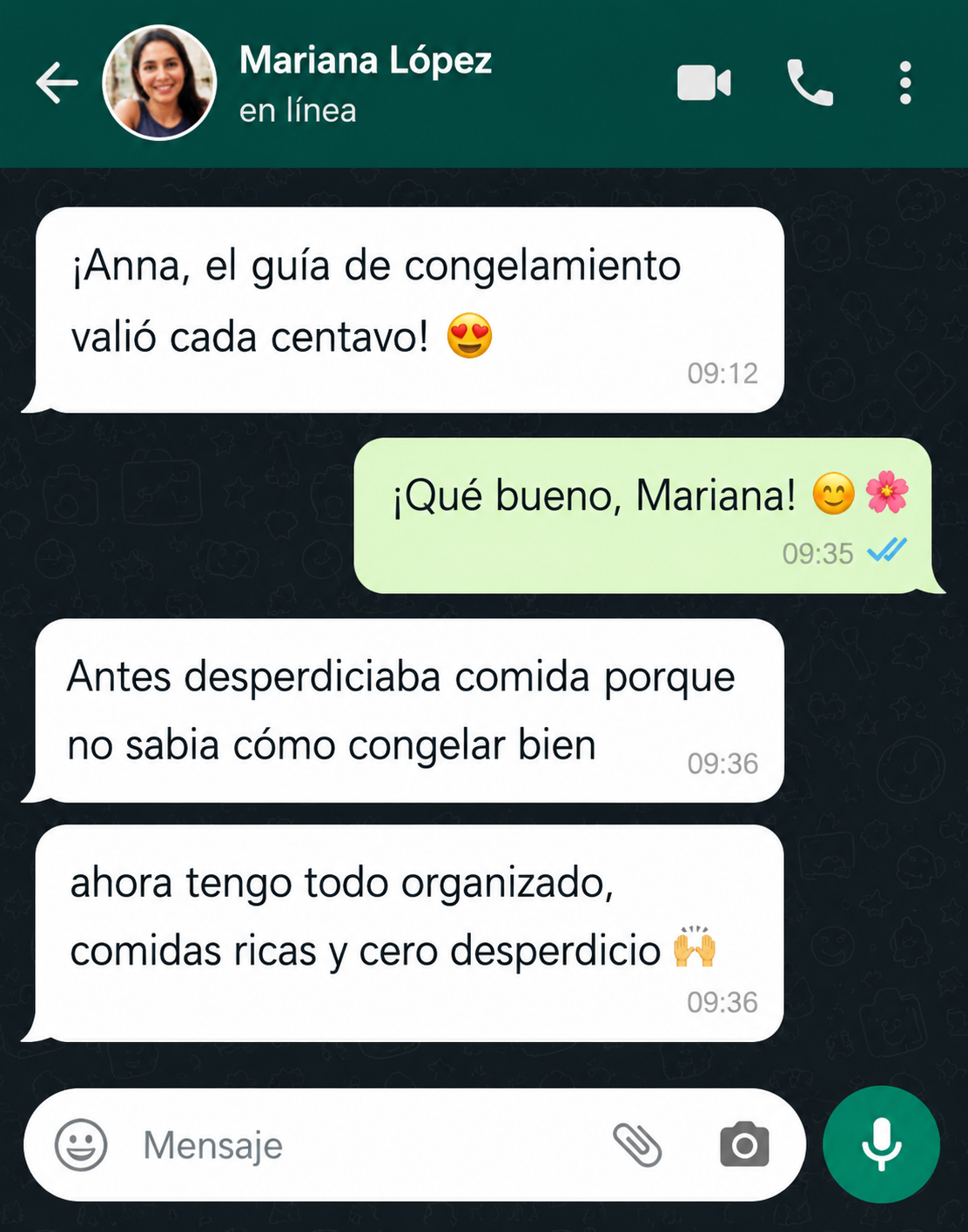 Conversación de WhatsApp elogiando la guía de congelación